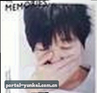 赵刚